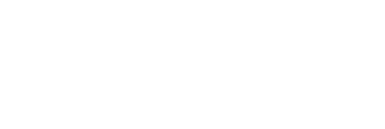 Portal Apiaí Logo
